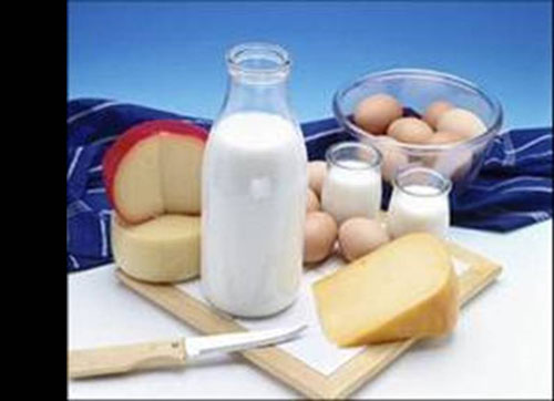 具有蛋白質(zhì)的相關圖片